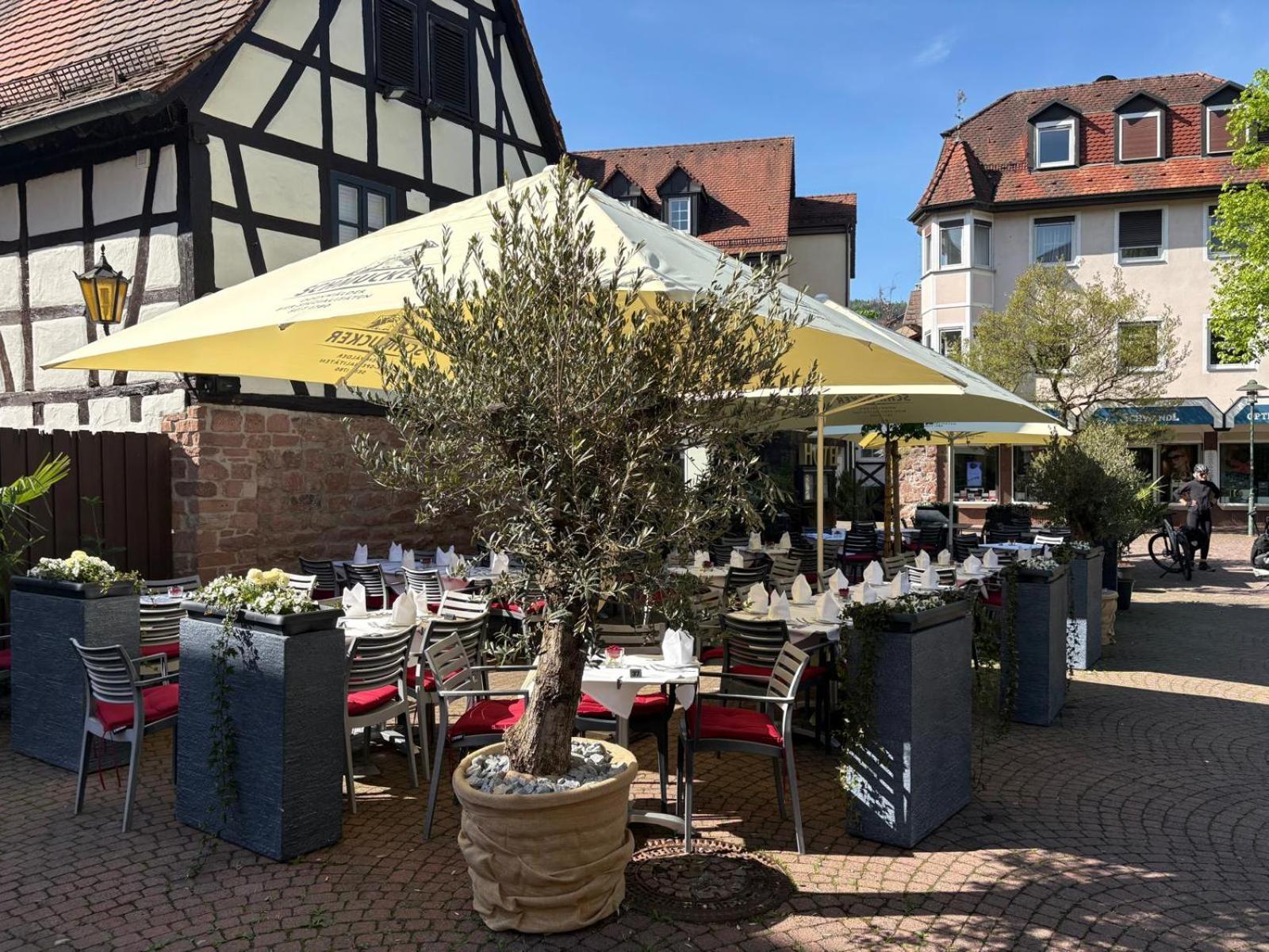 Hotel Restaurant Altes Badhaus Eberbach  Bagian luar foto