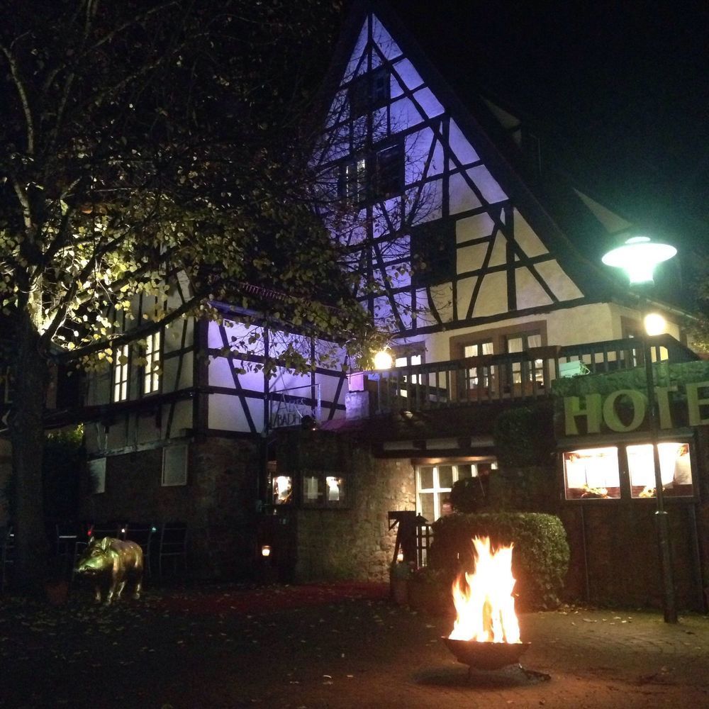 Hotel Restaurant Altes Badhaus Eberbach  Bagian luar foto